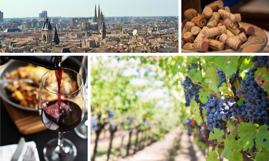 Vin de Bordeaux : Les informations principales