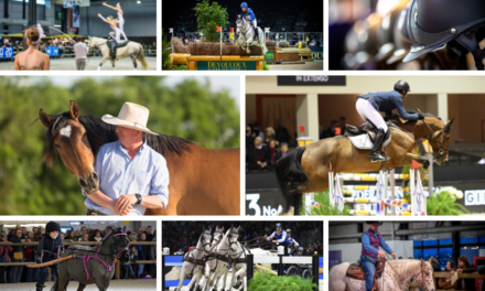 Jumping International de Bordeaux 2020